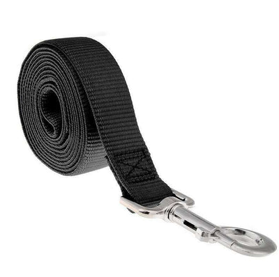 Correa Extensible para Mascotas - Image 7