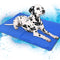 Colchoneta Refrescante para Perros - Cama Gel Frío para Viajes en Auto