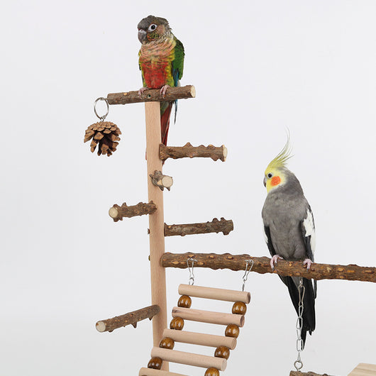 Multi-level natural wood parrot play stand with perches, ladder, swings, and two stainless steel feeding cups. - Image 5