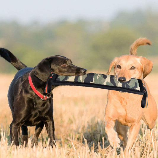 Palo de Entrenamiento Resistente para Perros - Hemp Bite Stick Molar Fine