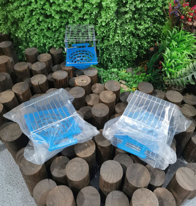 Small parrot breeding box with a blue plastic base and white wire cage, designed for bird nesting. - Image 8