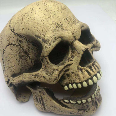 Máscara de Látex Calavera - Accesorios de Terror y Disfraces - Image 4