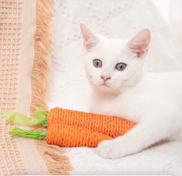 Juguetes Interactivos para Gatos - Palos de Hierba Gatera y Piedras Sonoras