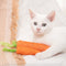 Juguetes Interactivos para Gatos - Palos de Hierba Gatera y Piedras Sonoras