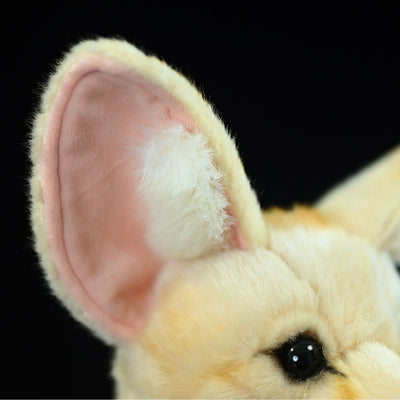 Peluche Zorro de Orejas Grandes - Juguete Realista de Felpa Suave - Image 6