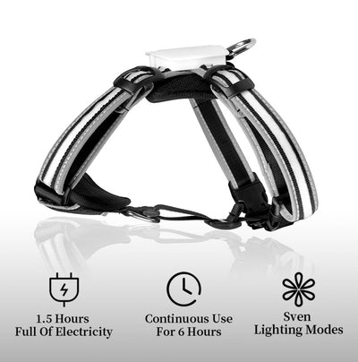 Chaleco LED Reflectante para Pasear Perros de Noche - Image 7