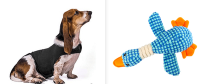 Chaleco Calmante para Mascotas - Ropa Terapéutica Antiansidad para Gatos y Perros - Image 7