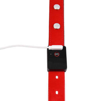 Collar Luminoso Impermeable Ajustable para Gatos y Perros - Image 6