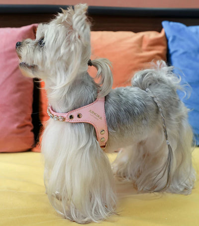 Arnés y Correa para Perro de Cuero PU con Strass Ajustable - Image 22