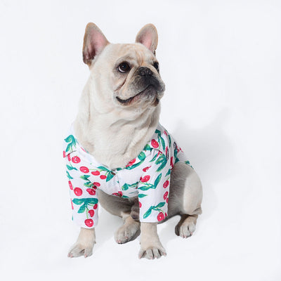 Ropa de Playa para Mascotas - Estilo Veraniego - Image 17