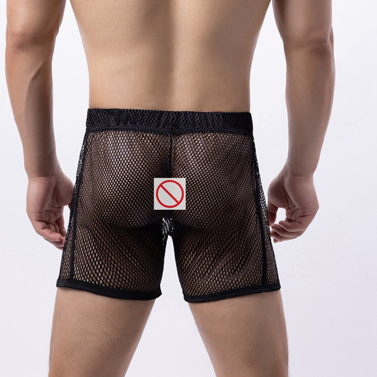 Ropa Íntima de Malla Transparente con Detalles Calados - Image 10