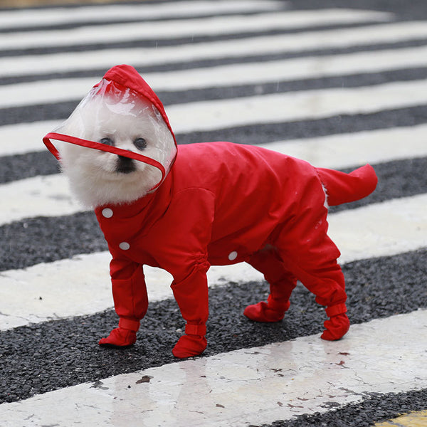 Impermeable Completo para Mascotas con Botas de Lluvia
