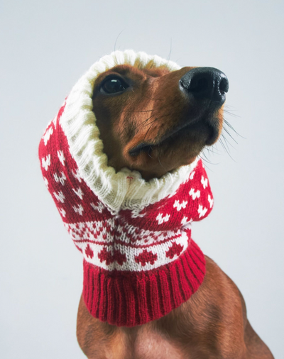 Gorro Elástico de Lana Tejida con Diseño Gatito y Cachorro - Image 4