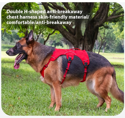 Orange dog harness with reflective trim, black buckles, and a top handle, designed for large dogs. - Image 10