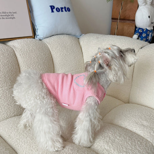 Chaleco Deportivo de Verano para Mascotas - Image 11