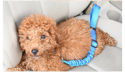 Cinturón de Seguridad Elástico para Perros en Auto - Image 11