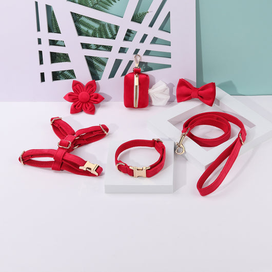 Conjunto de Collar y Correa de Terciopelo Suave para Mascotas - Image 6
