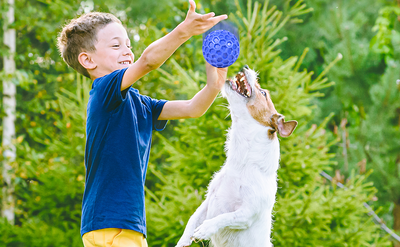 Pelota Masticable Indestructible para Perros Grandes - Juguete Interactivo Antiansied con Sonido - Image 22