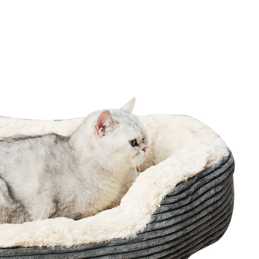 Cama Ovalada Térmica de Felpa para Gatos y Perros - Colchoneta Acogedora de Invierno - Image 4