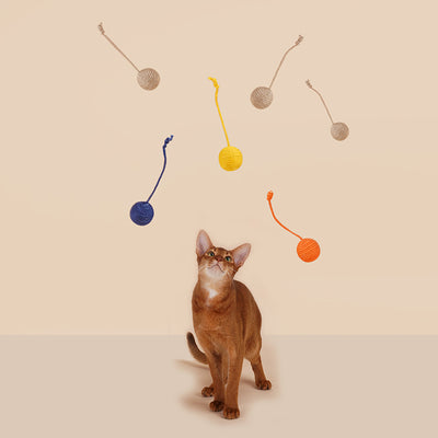 Juguete Interactivo para Gatos con Pelota de Catnip y Varita Resistente - Image 6