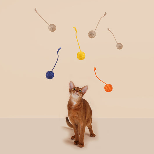 Juguete Interactivo para Gatos con Pelota de Catnip y Varita Resistente - Image 6