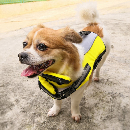 Chaleco Salvavidas Inflable Reflectante para Mascotas - Image 5