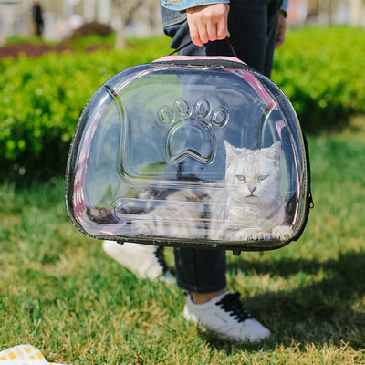 Mochila Escolar Transparente para Mascotas - Diseño Portátil para Gatos - Image 14