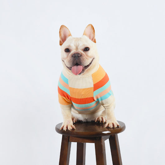 Ropa Colorida a Rayas para Perros - Image 3