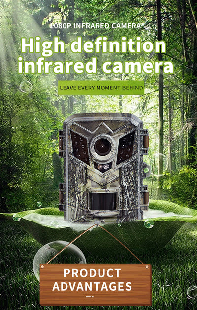 Cámara de Seguridad Exterior 1080p Full HD con Sensor de Movimiento y Protección Anti-DDoS - Image 5