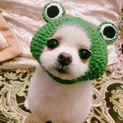 Gorro de Lana Tejido para Mascotas - Diadema Rana