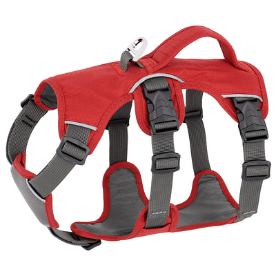 Arnés de Tracción para Perros con Correa Pectoral Ajustable - Image 3