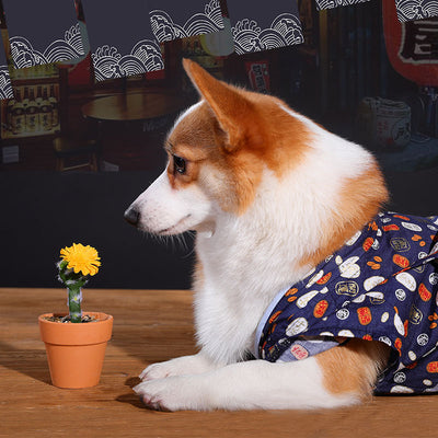 Pijama Teddy Chai para Perros Medianos - Primavera y Verano - Image 11