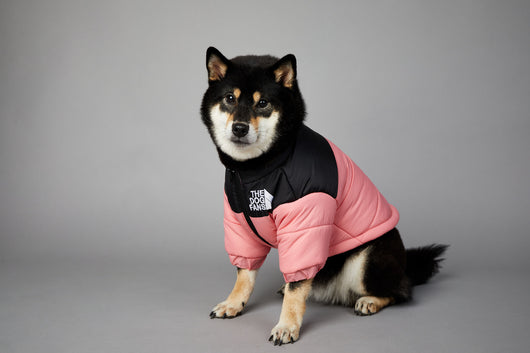 Abrigo Impermeable y Cortavientos para Perros - Ropa de Invierno Acolchada - Image 32