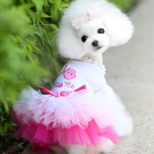 Vestido Princesa Ligero para Perros Pequeños - Colección Primavera Verano - Image 13