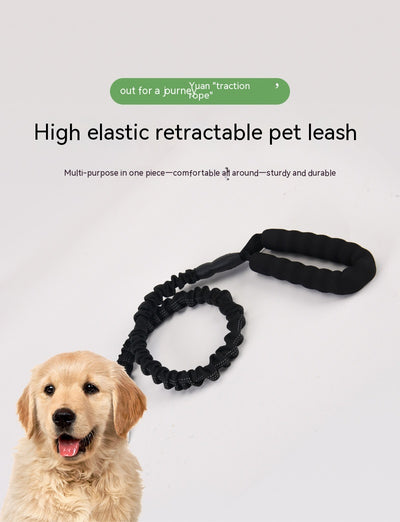 Correa Extensible para Perros con Mango Ergonómico - Image 8