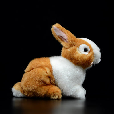 Peluche Adorable Conejo Holandés - Image 8