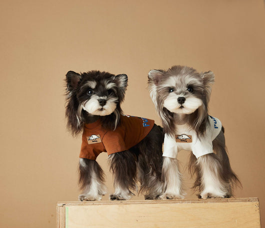 Playera Estampada para Perro - Diseño Adorable Primavera Verano - Image 26