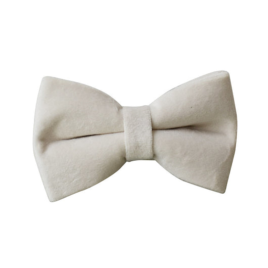 Collar de Terciopelo Blanco para Perros con Hebilla de Aleación - Image 6