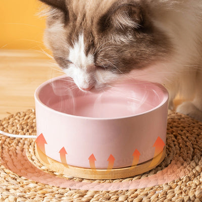 Bebedero Térmico de Cerámica para Gatos con Temperatura Constante