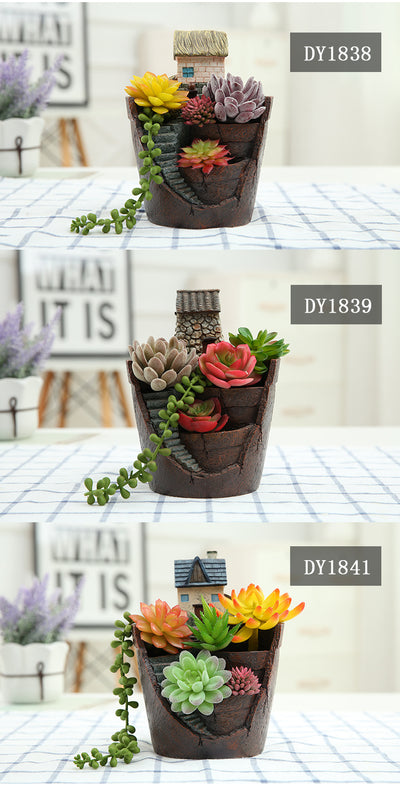 Maceta Decorativa con Suculentas - Miniatura de Jardín y Bonsái - Image 17