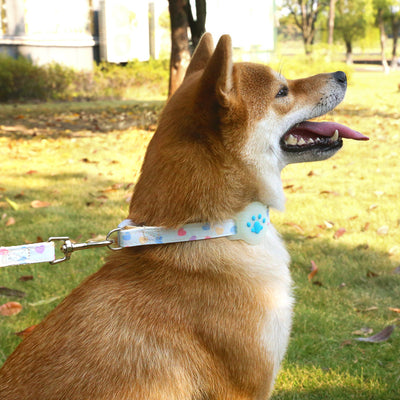 Collar Rastreador GPS Anti-pérdida con Correa de Sujeción