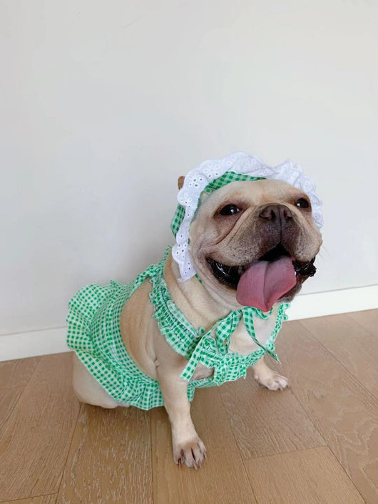 Vestido Escocés para Perro con Accesorios - Image 5