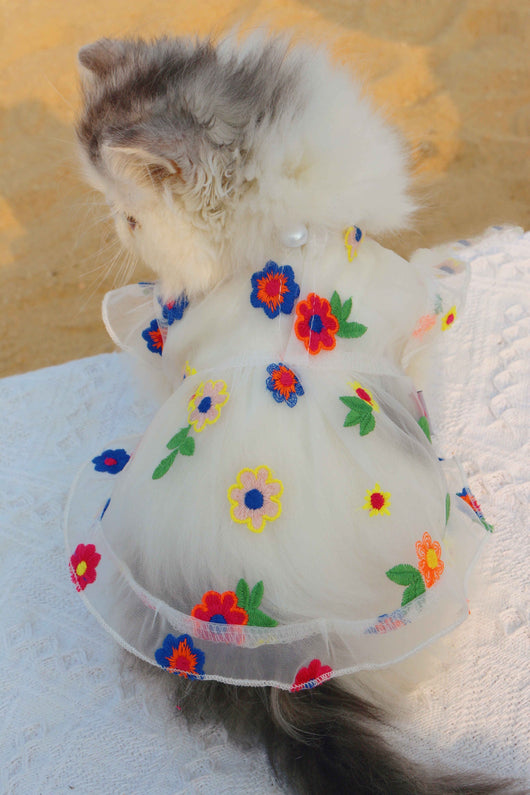 Vestido de Encaje con Bordado Floral para Gatos - Image 3