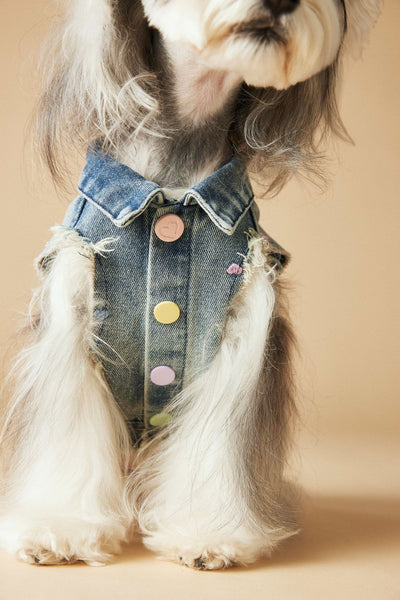 Chaleco Denim sin Mangas con Bordado Schnauzer Maltés Teddy - Image 32