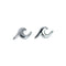 Shining Star Tassel Earrings Back Hanging Exquisite Earrings Plateado B