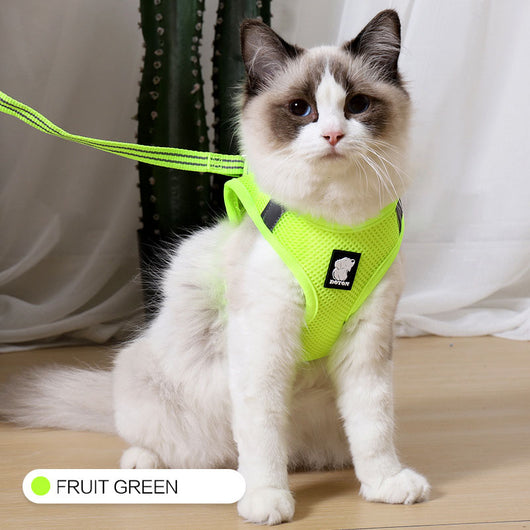 Arnés Antitirones para Gatos con Correa de Seguridad - Image 18