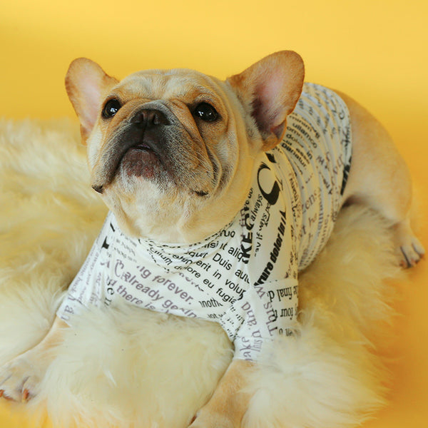Suéter Tejido para Perros Pequeños - Diseño Bulldog Francés