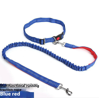 Correa Reflectante para Perros con Elástico - Ideal para Correr de Noche - Image 11