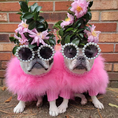Suéter Cálido para Mascotas Otoño e Invierno - Image 5