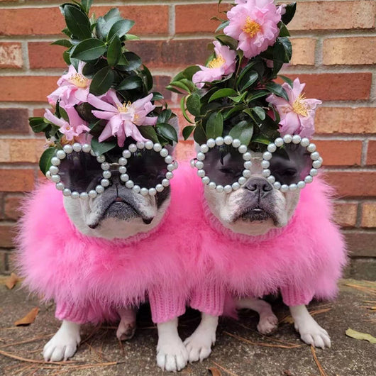 Suéter Cálido para Mascotas Otoño e Invierno - Image 5